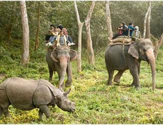 Charity trip to Chitwan National Park